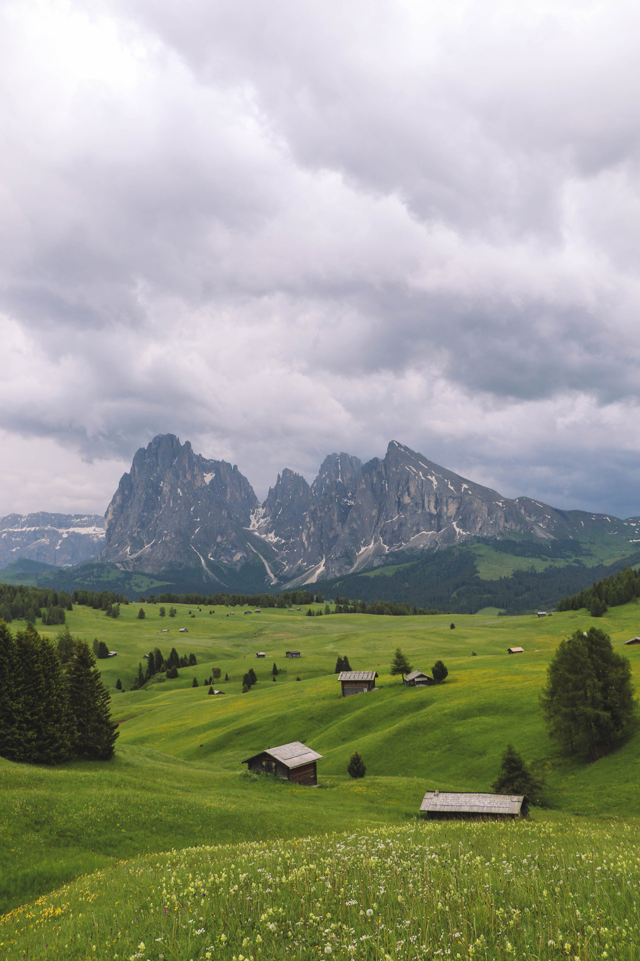 Alpe di Siusi / Seiser Alm: Langkofel Group on a cloudy day in Spring