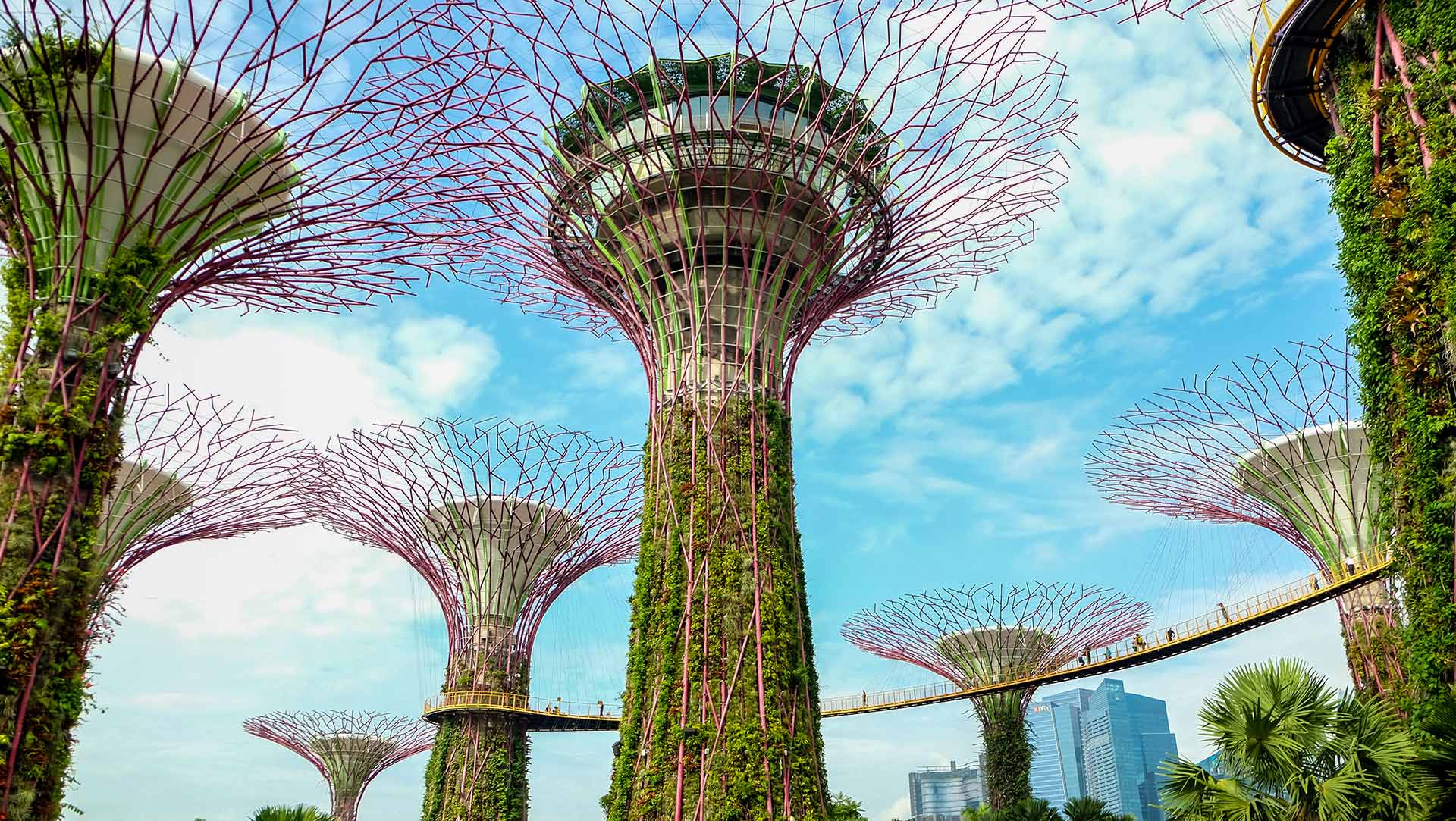 Singapore Park