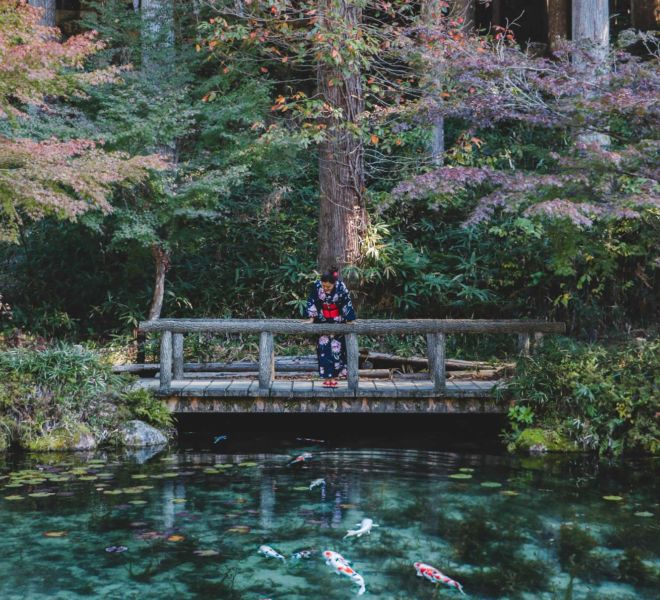 Monet's Pond, Gifu, Japan